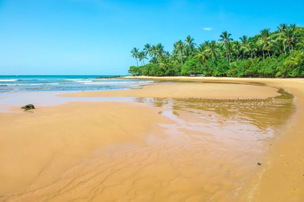 depositphotos_197399338-stock-photo-amazing-barra-grande-beach-located